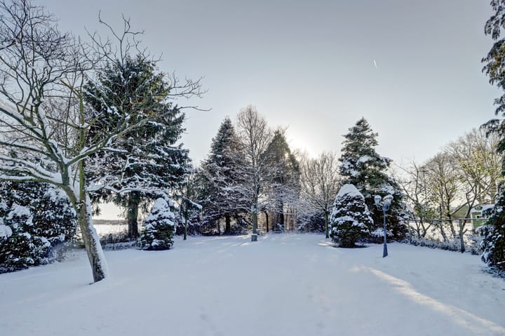 Foto 59 van Bosschenhoofdseweg 8