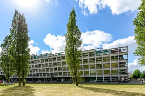 Panamalaan thumbnail