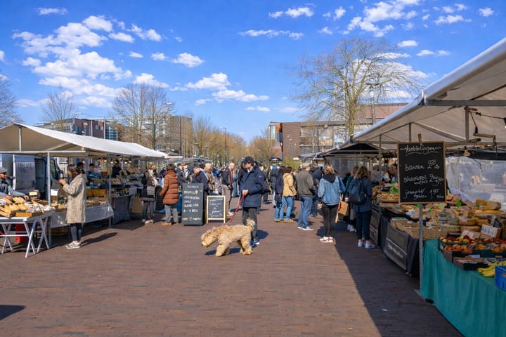 Foto 25 van Panamalaan 244