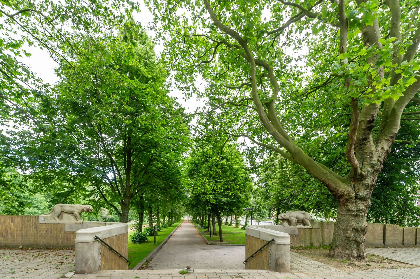 Photo 40 of Jan den Haenstraat 40-D