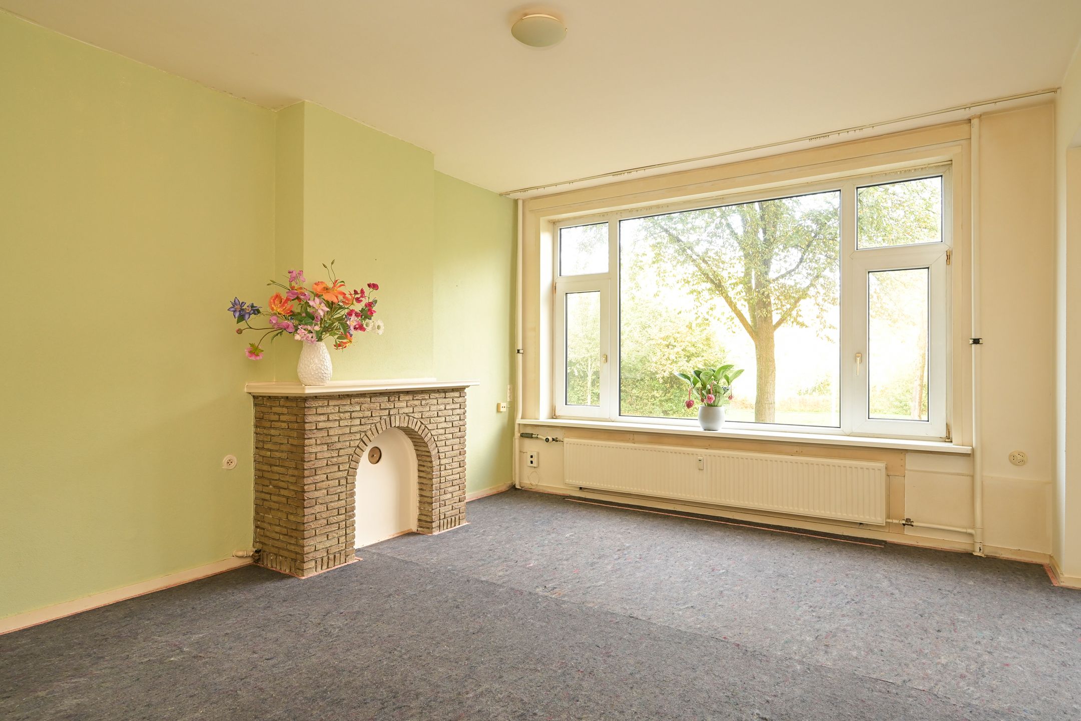 Foto 18 van Segbroeklaan 218