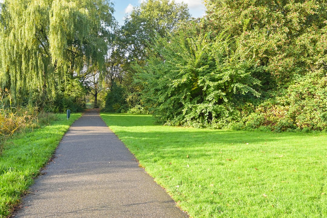 Foto 38 van Segbroeklaan 218