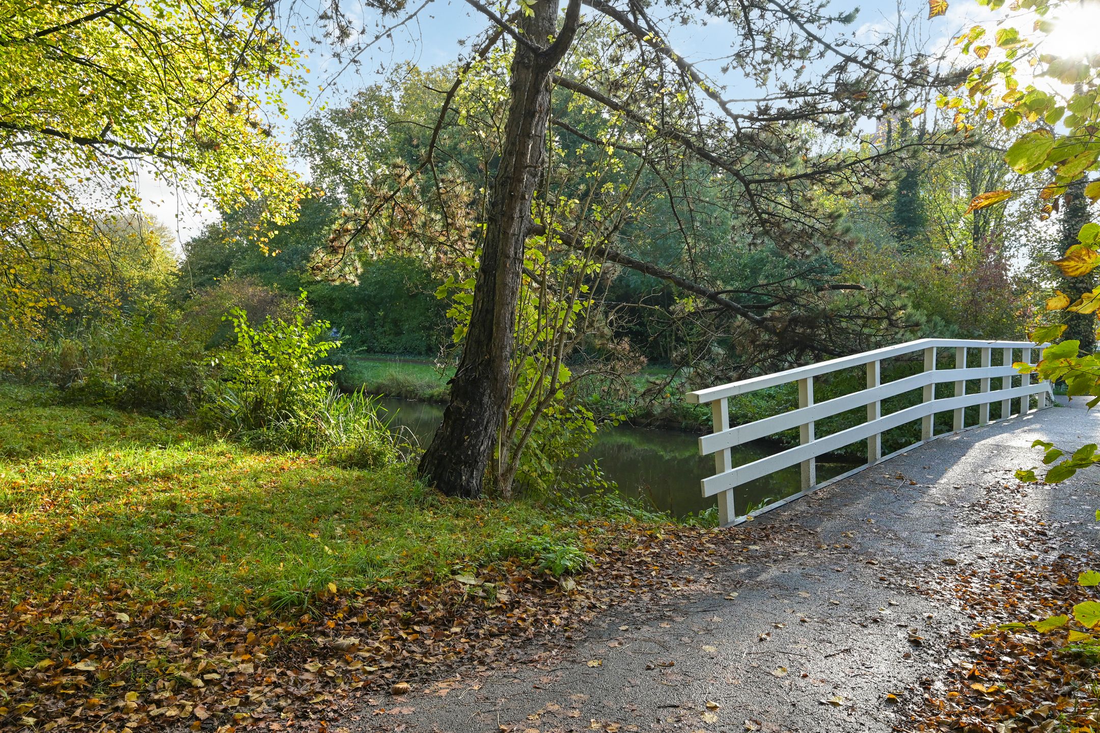 Foto 39 van Segbroeklaan 218