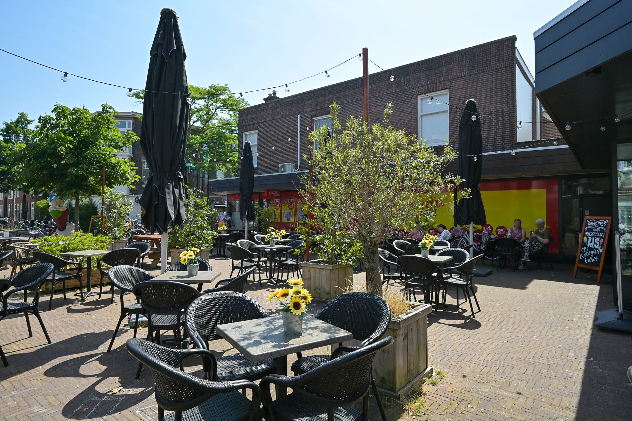 Foto 42 van Segbroeklaan 218