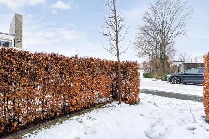 Foto 5 van Pieter Aertsenstraat 3