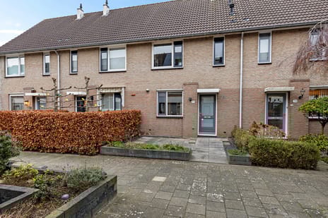 undefined main image