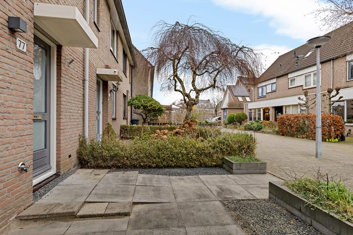 Foto 7 van Leeuwetand 77