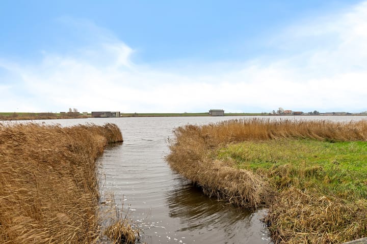 Foto 47 van Leeuwetand 77