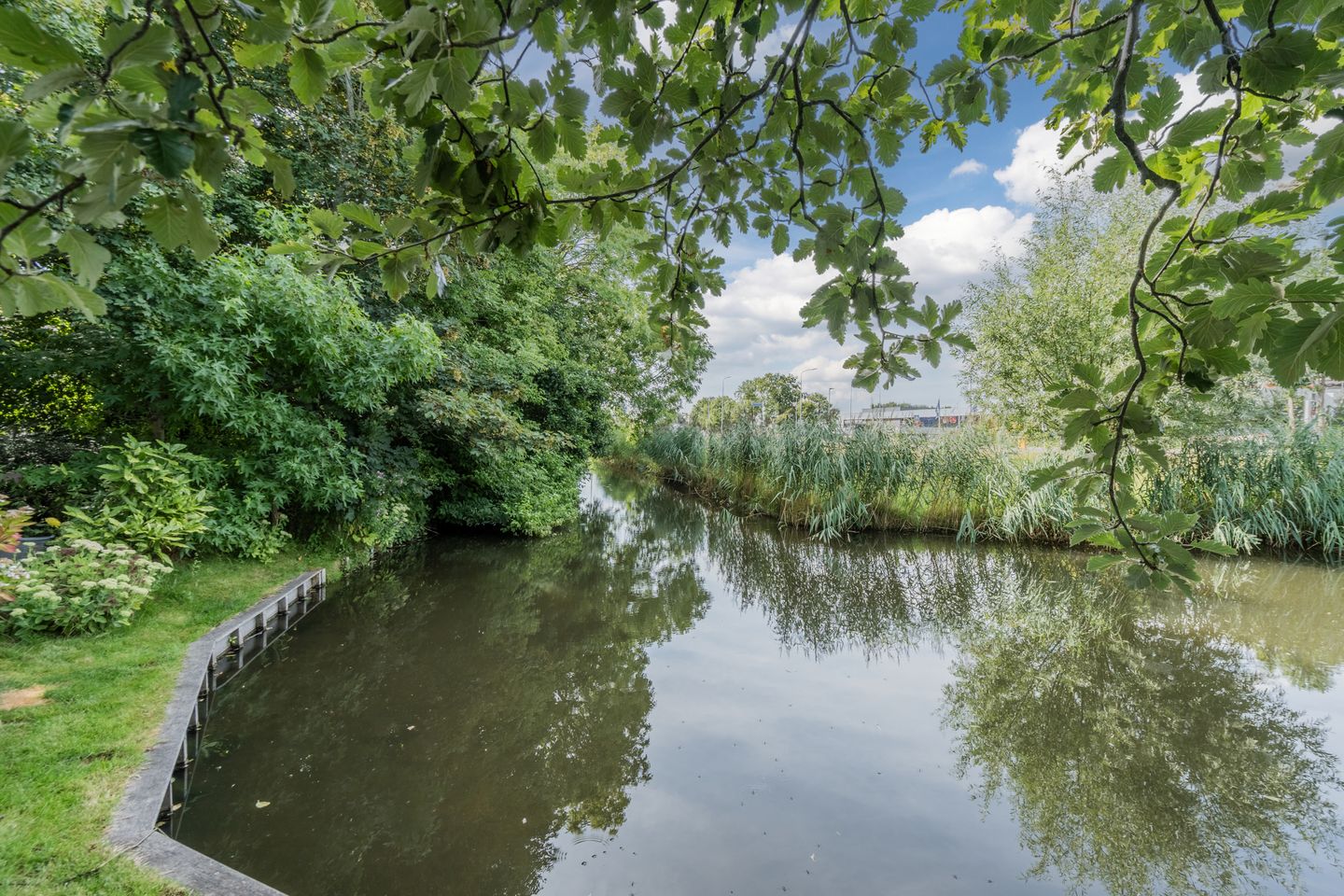 Photo 70 of Mandepad 1