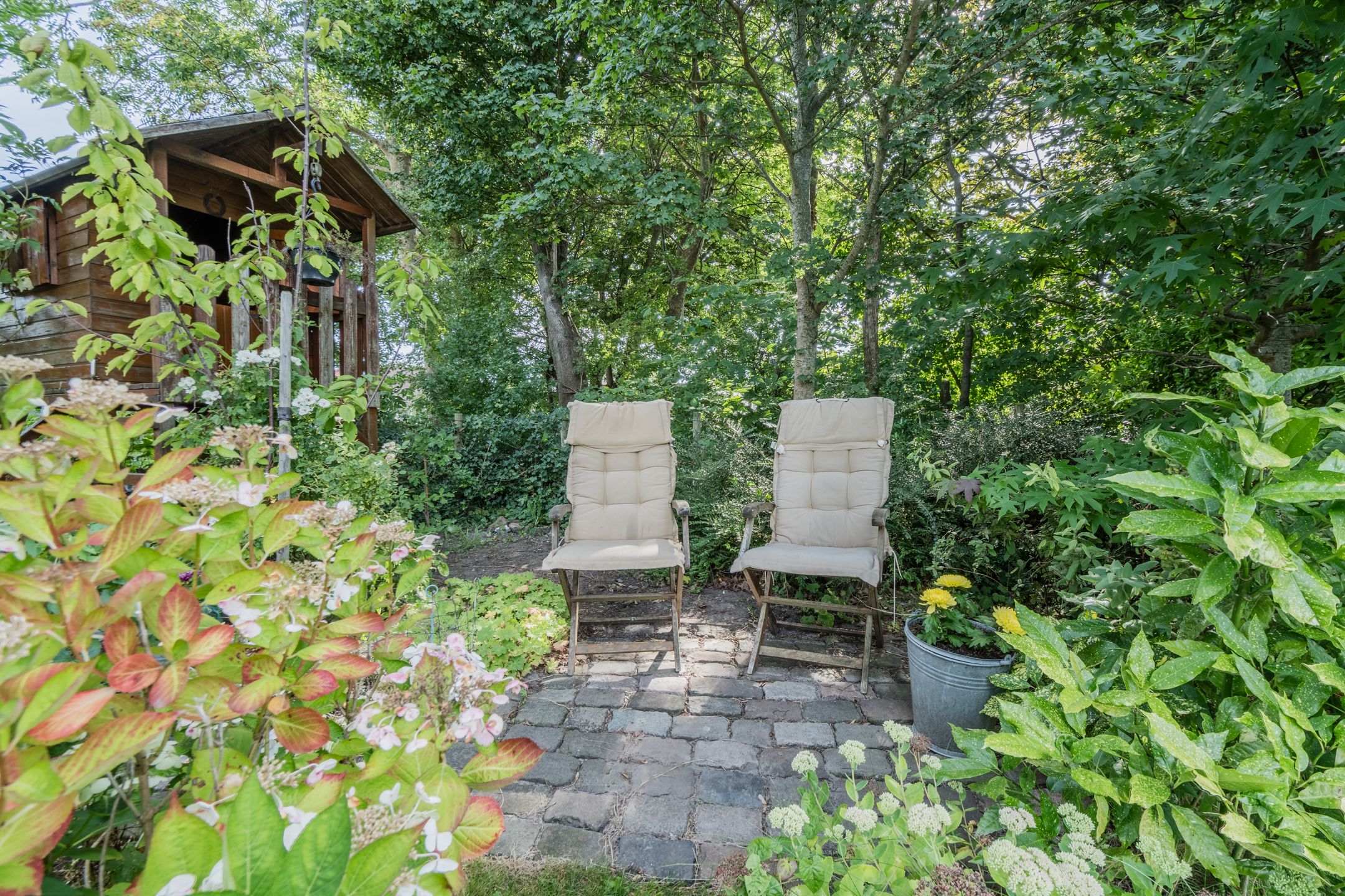 Photo 72 of Mandepad 1