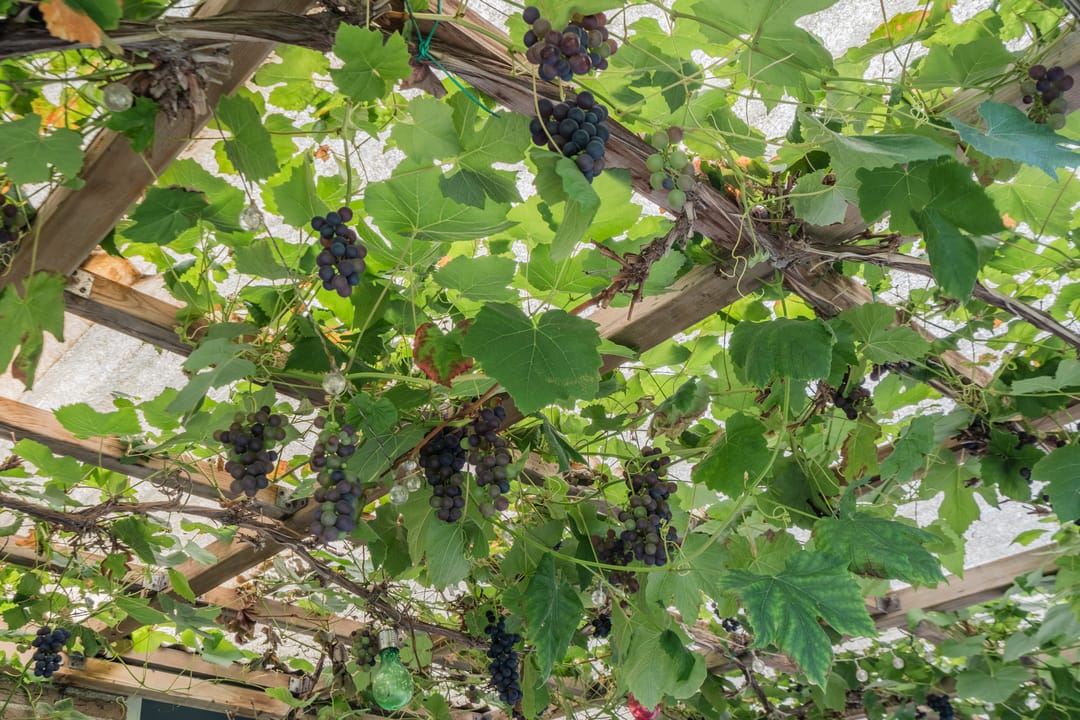 Photo 77 of Mandepad 1