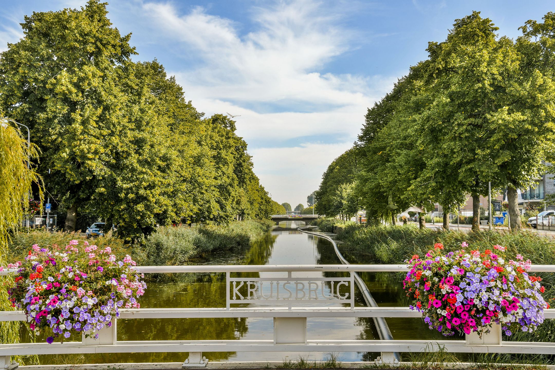 Foto 42 van Manegelaan 16-A