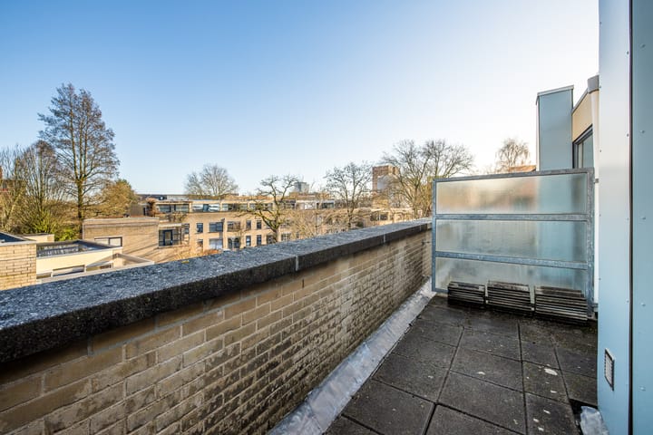 Foto 44 van Notebomenhof 11