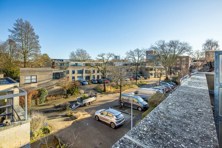 Foto 45 van Notebomenhof 11