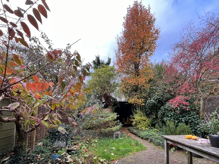 Foto 49 van Notebomenhof 11