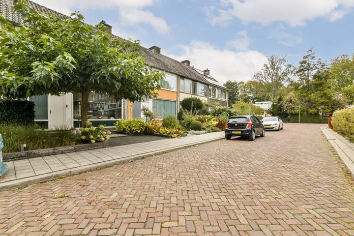 Foto 7 van Lobelia 7