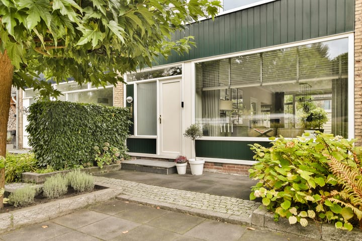 Foto 8 van Lobelia 7