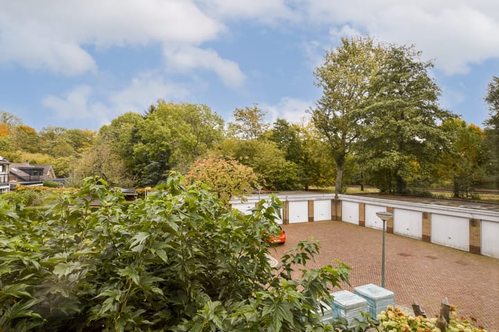 Foto 40 van Lobelia 7