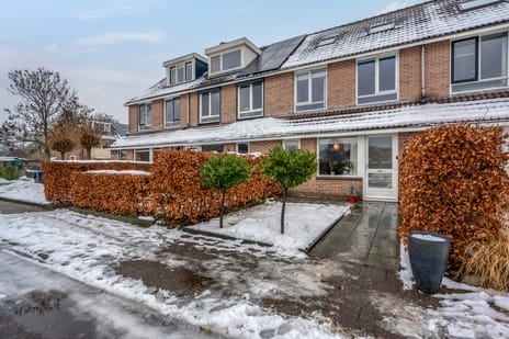 Kamille 31 tertiary image