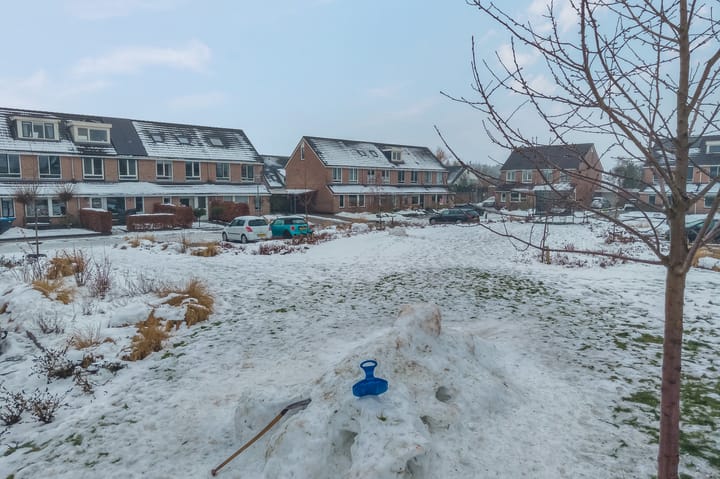 Foto 48 van Kamille 31