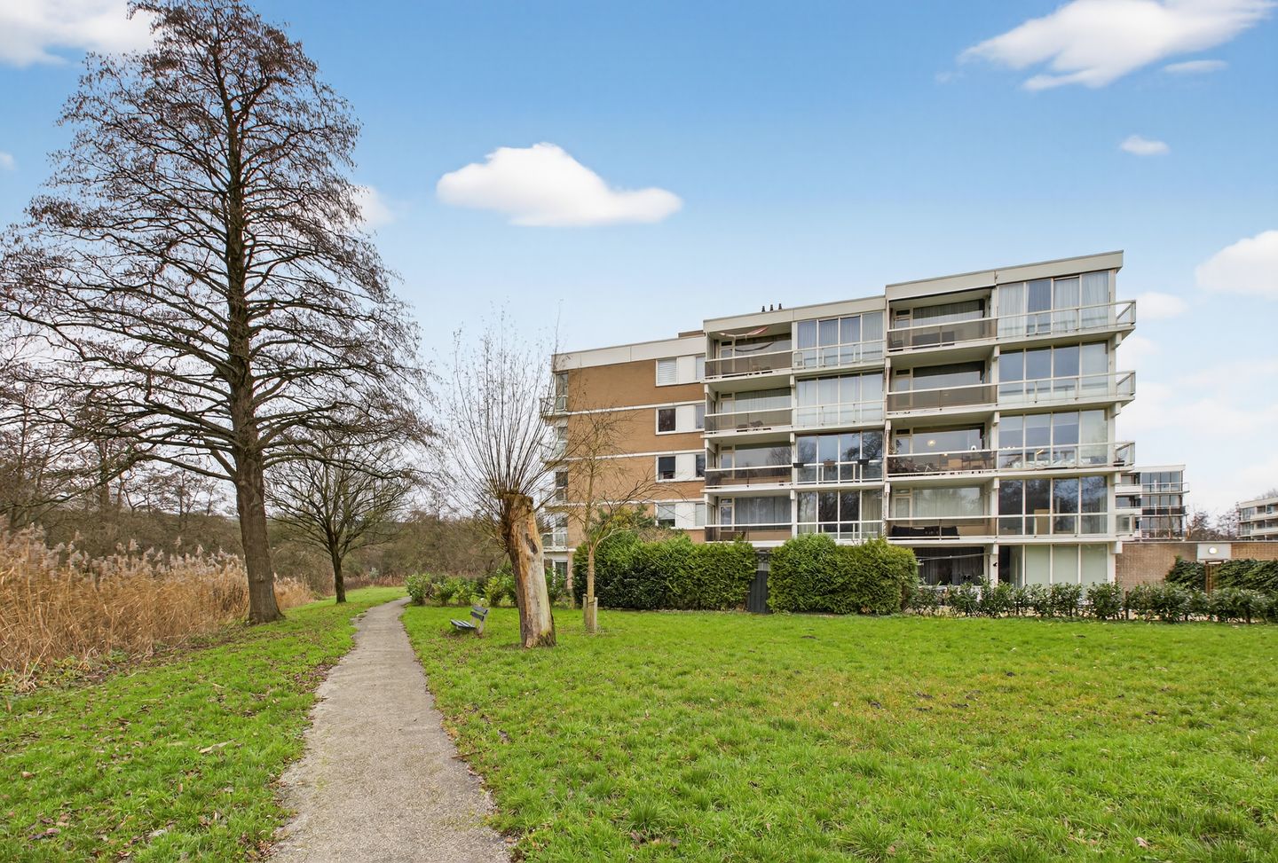 Foto 1 van Parnassiaveld 75