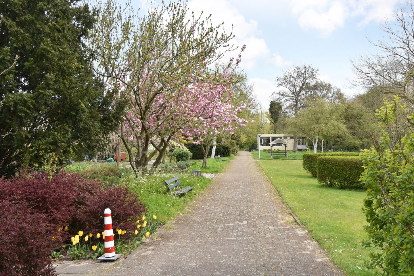 Photo 44 of Kornoeljestraat 126