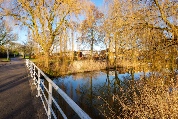 Foto 32 van Csardasstraat 40