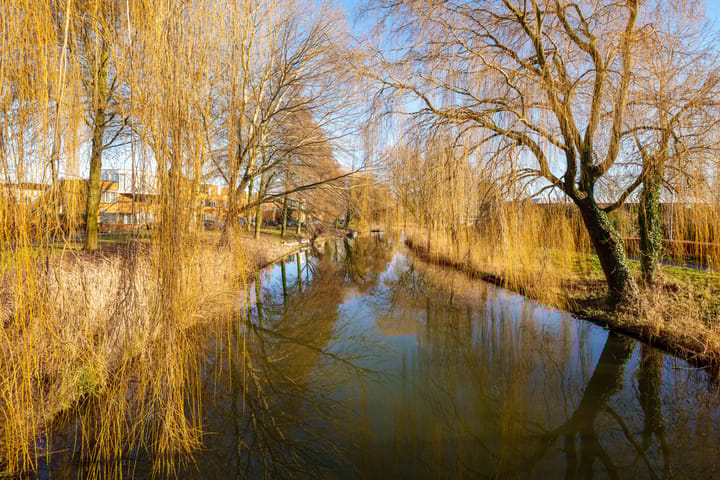 Foto 33 van Csardasstraat 40