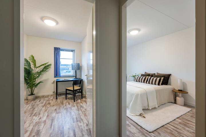 Foto 13 van Koopvaardersplantsoen 55