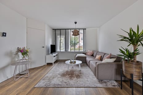 Haarbeemd 28 secondary image