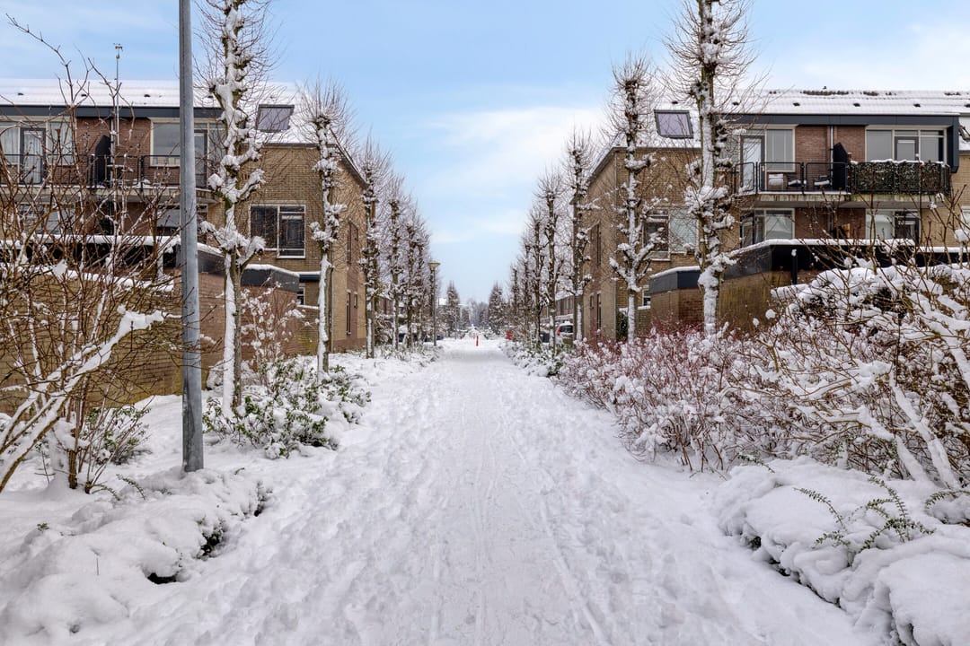 Foto 28 van Tesselschadelaan 97