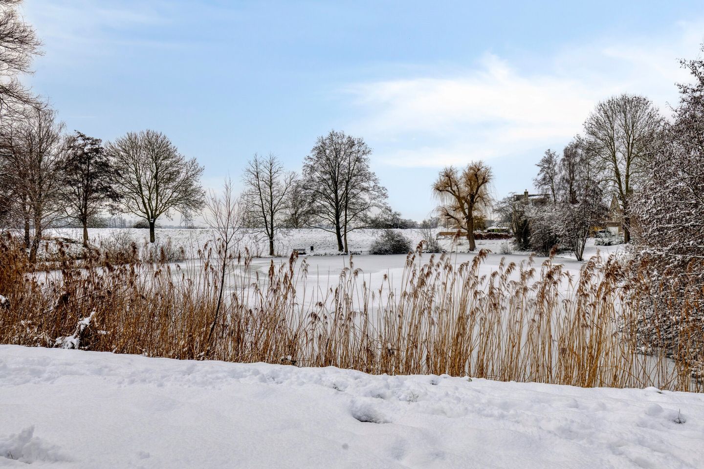 Foto 29 van Tesselschadelaan 97