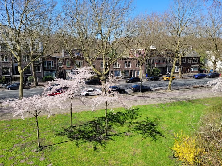 Foto 6 van Bolestein 242