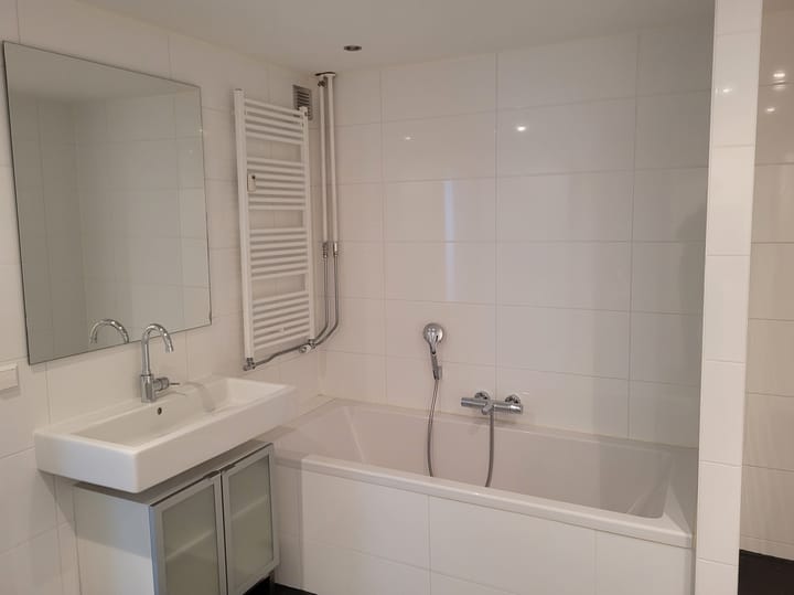 Foto 13 van Bolestein 242