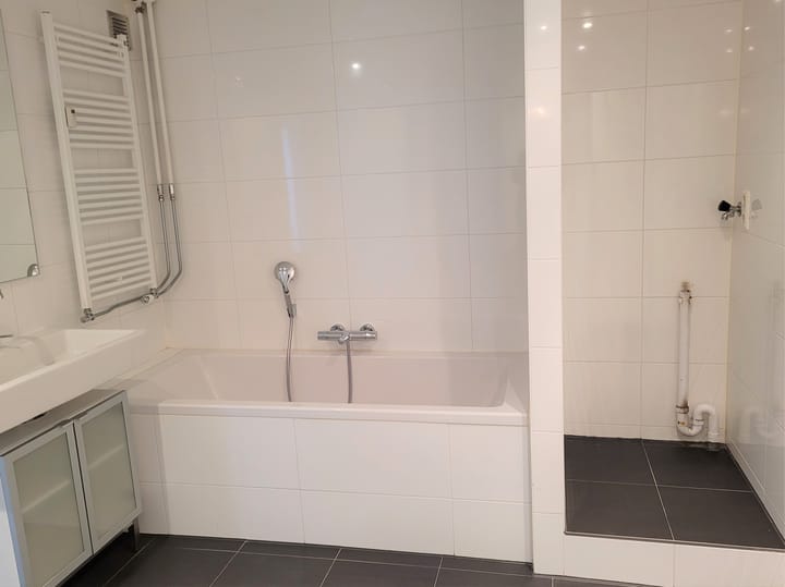 Foto 14 van Bolestein 242