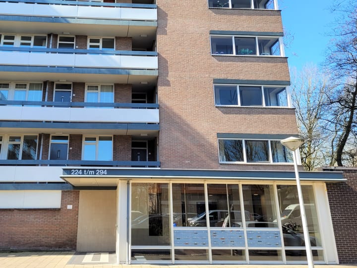 Foto 18 van Bolestein 242