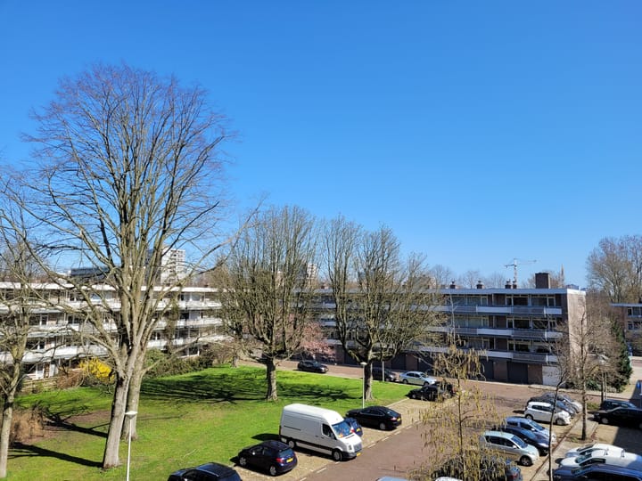 Foto 19 van Bolestein 242