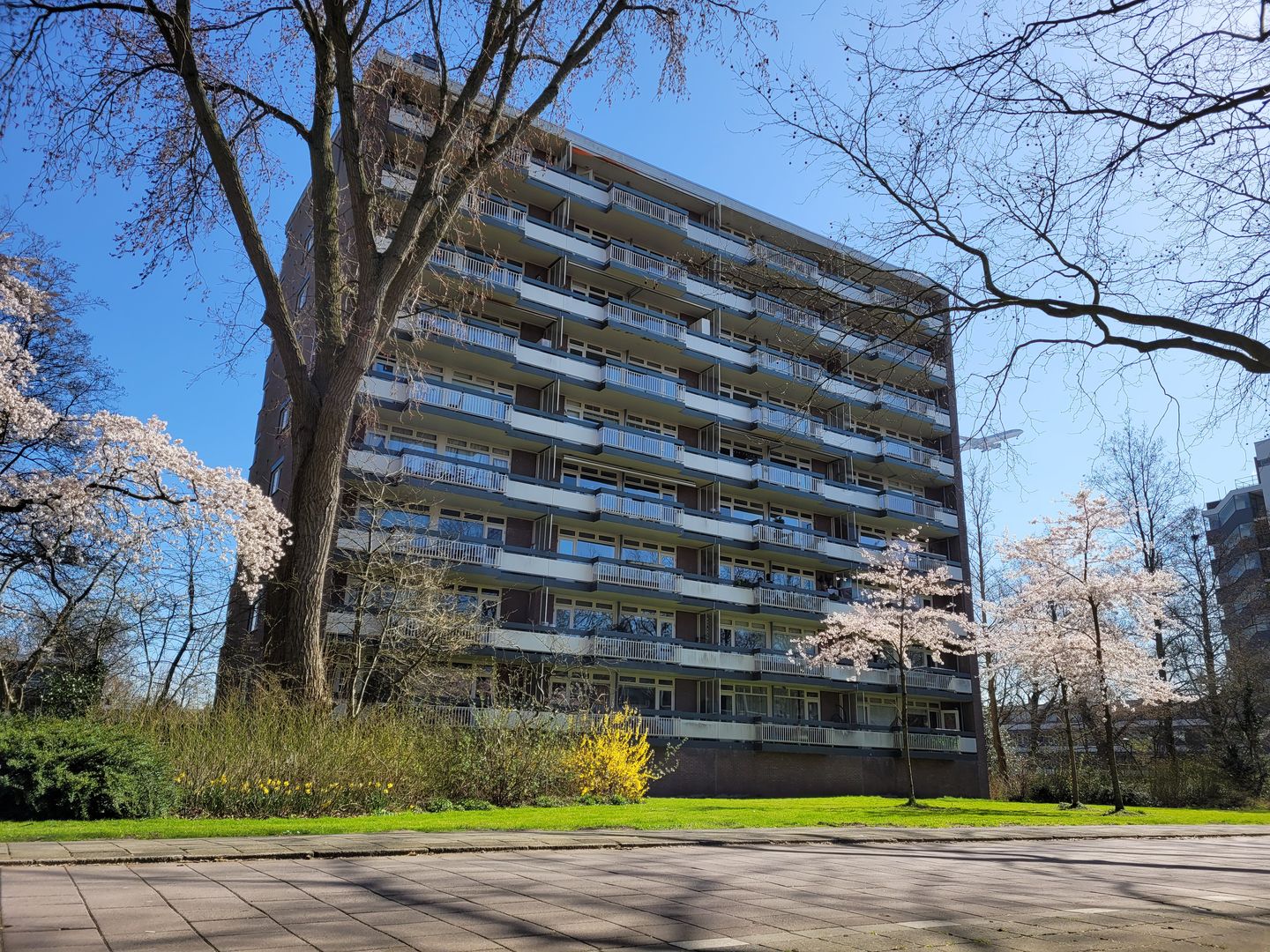 Foto 20 van Bolestein 242