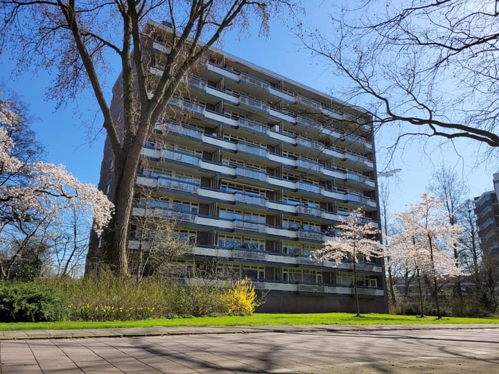 Foto 20 van Bolestein 242