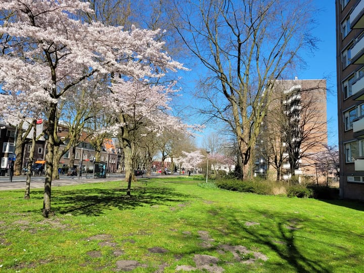 Foto 21 van Bolestein 242