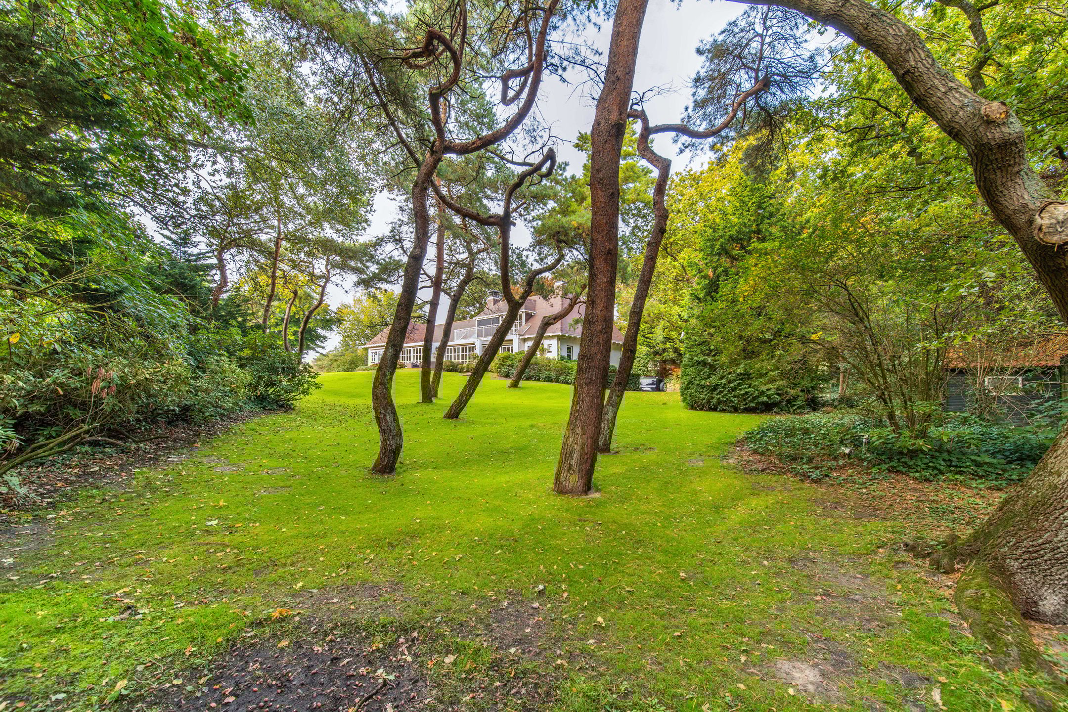 Photo 30 of Laan van Rhemen van Rhemenshuizen 15