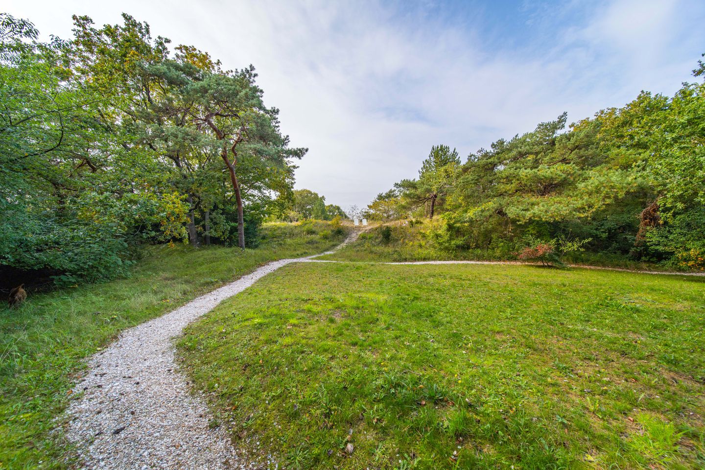 Photo 35 of Laan van Rhemen van Rhemenshuizen 15