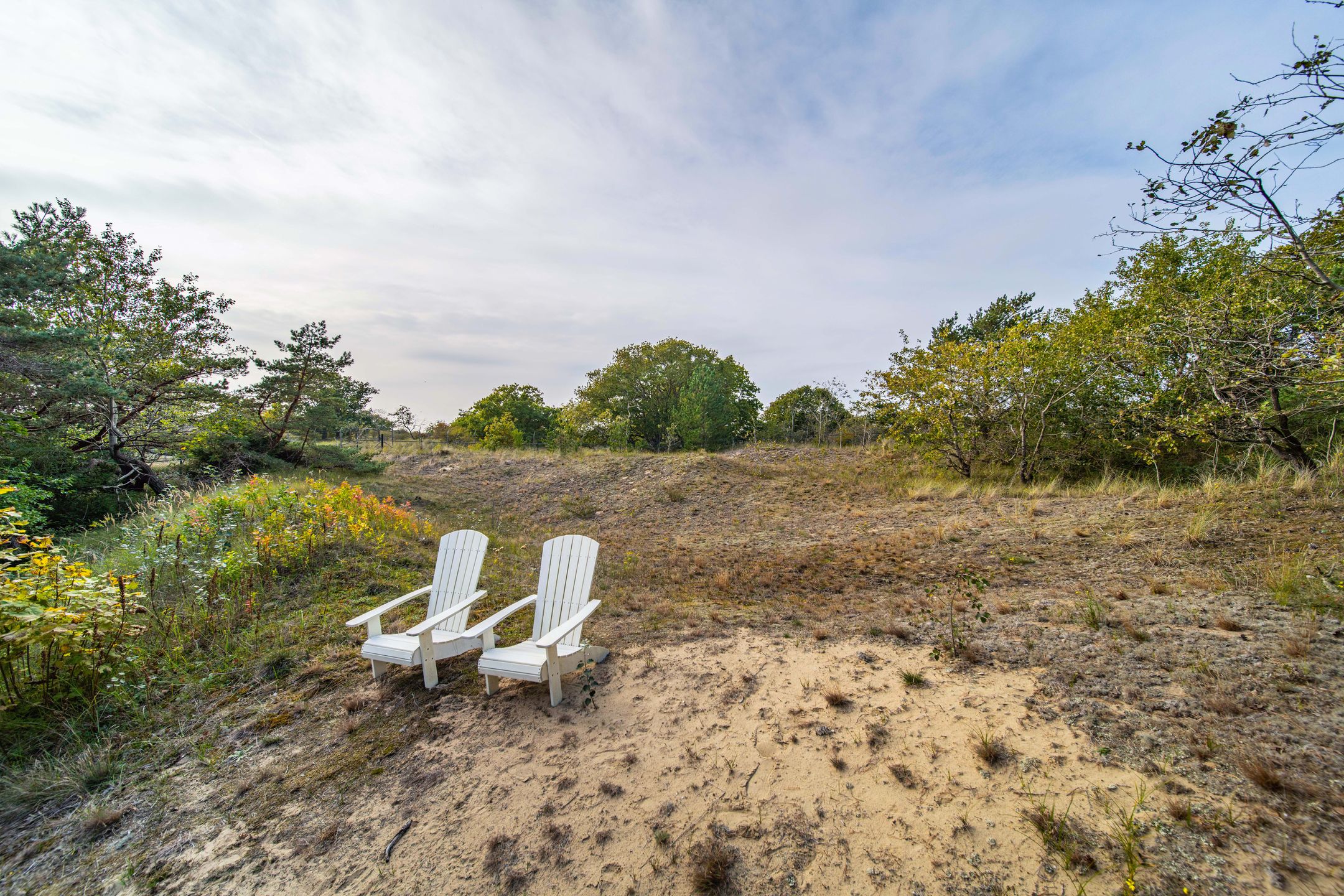 Photo 36 of Laan van Rhemen van Rhemenshuizen 15