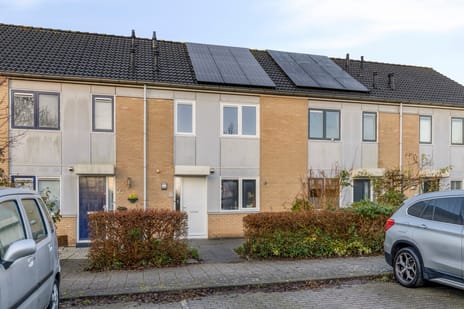 Tapirstraat thumbnail