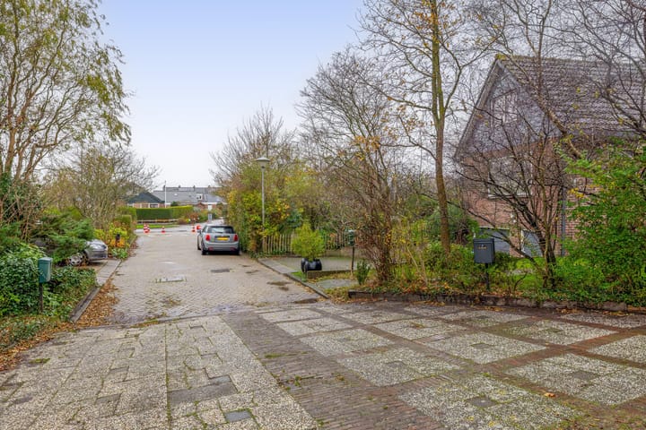 Foto 3 van Vogelzand 3102