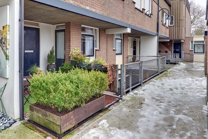 Foto 7 van Westrak 59