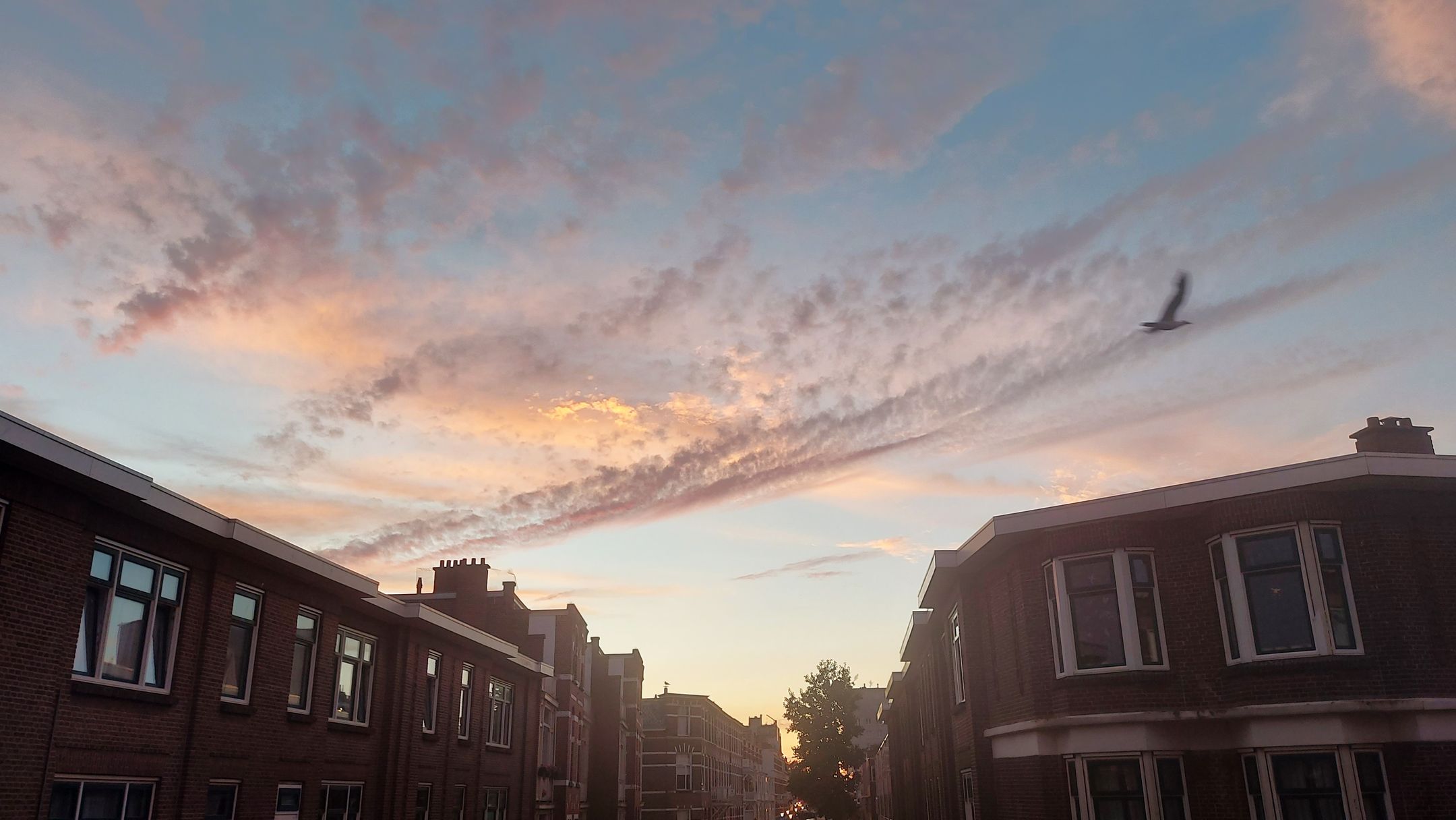 Foto 12 van d'Aumeriestraat 2