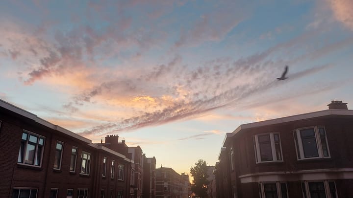 Foto 12 van d'Aumeriestraat 2