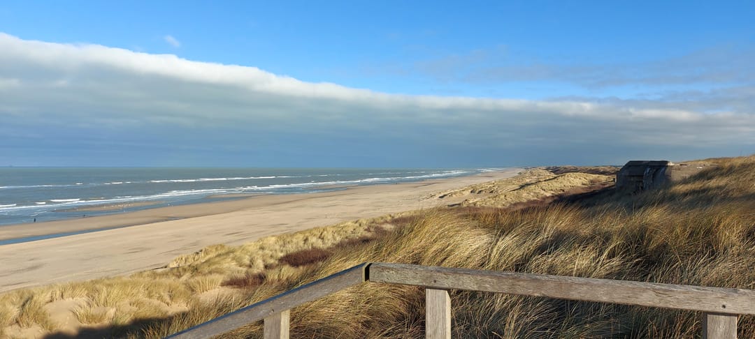 Foto 61 van d'Aumeriestraat 2