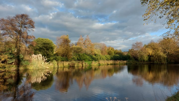 Foto 63 van d'Aumeriestraat 2